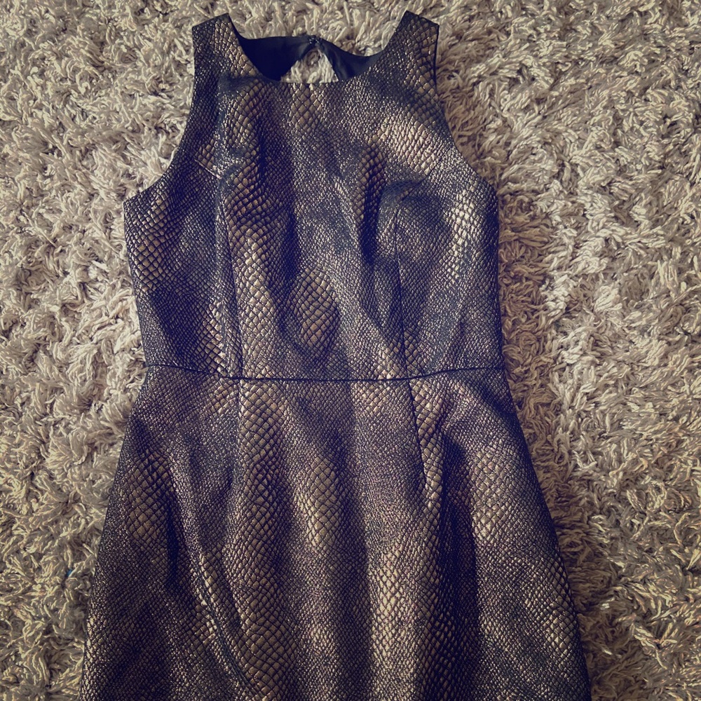 Gold and Black Dress